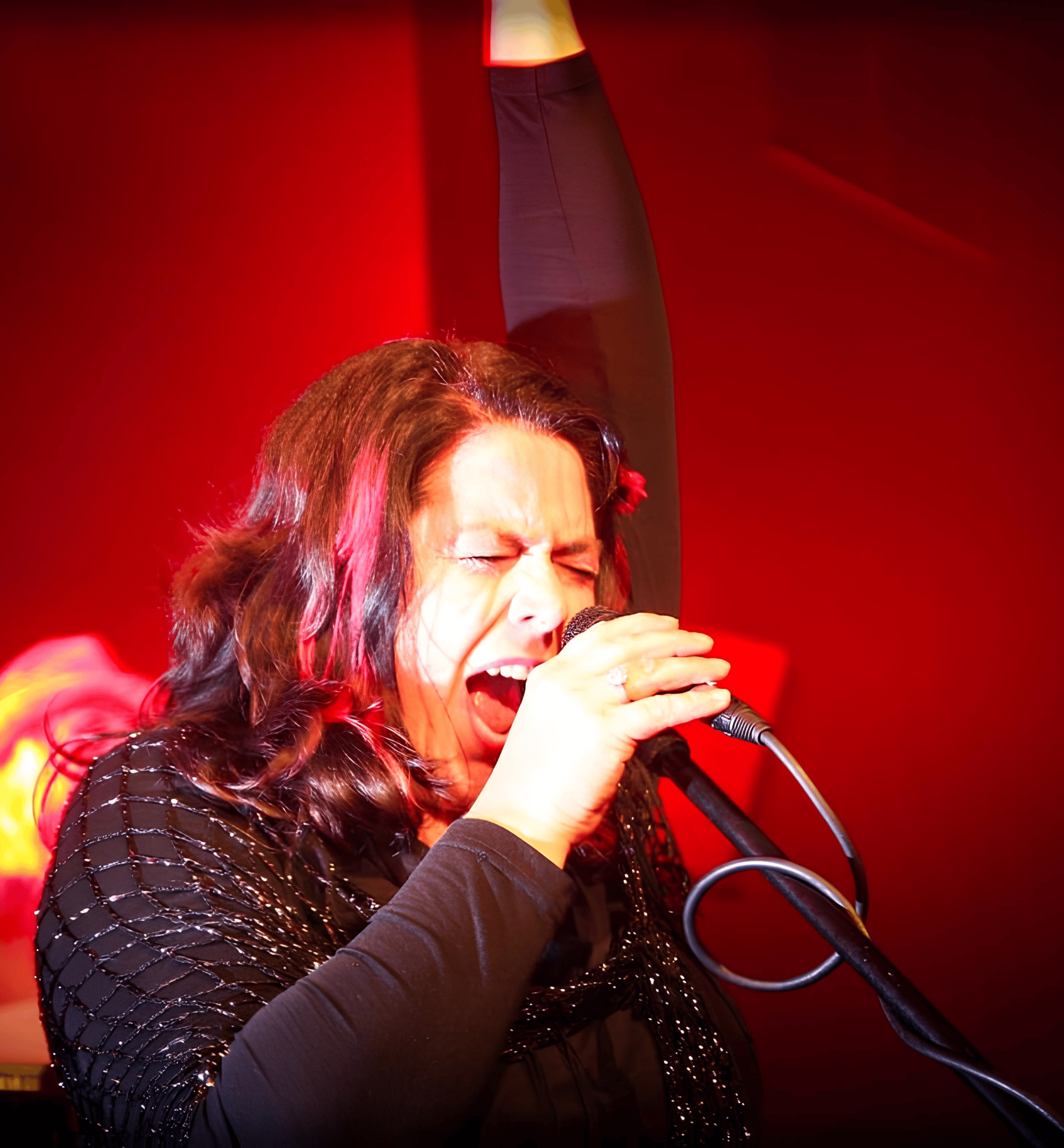 Stimmentfaltung - Der Weg zur eigenen Stimme